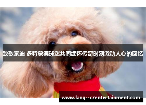 致敬泰迪 多特蒙德球迷共同缅怀传奇时刻激动人心的回忆