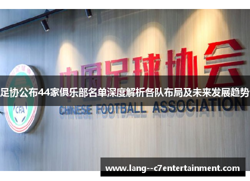 足协公布44家俱乐部名单深度解析各队布局及未来发展趋势