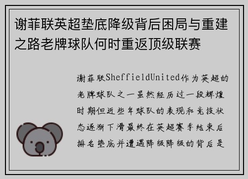 谢菲联英超垫底降级背后困局与重建之路老牌球队何时重返顶级联赛